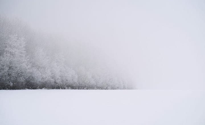 A snowy landscape