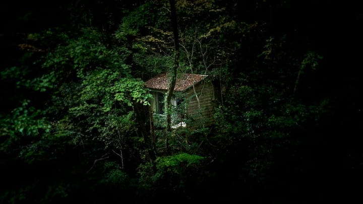 A cabin in the woods